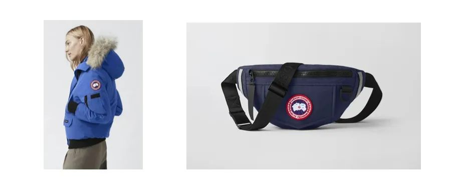 Canada Goose 加拿大鹅