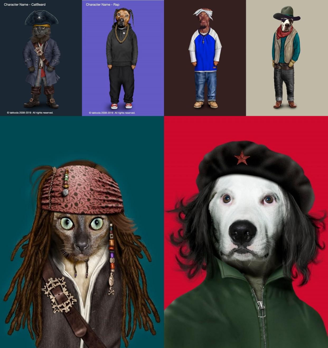 Pets Rock人与宠物