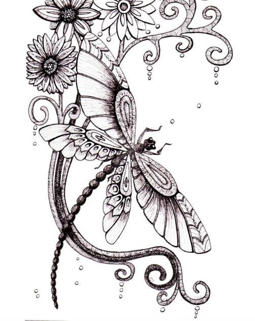  Angela Porter 插画