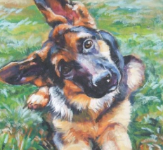 狗狗肖像版权画