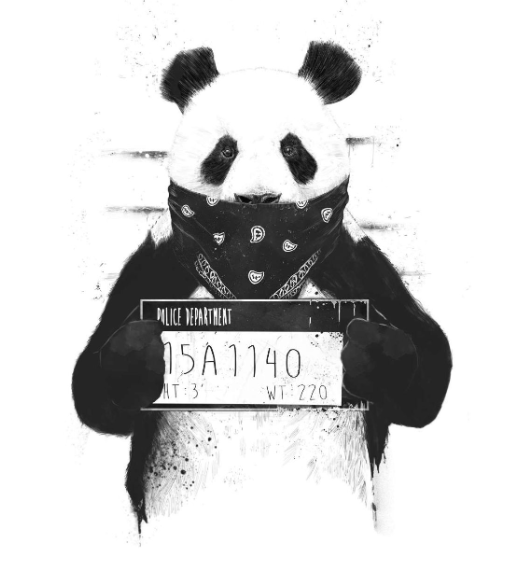 Balazs 动物画