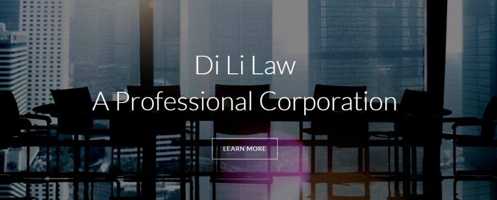  DI LI LAW